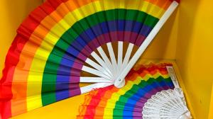 Conferência Distrital dos Direitos das Pessoas LGBTQIA+ será realizada em junho de 2025